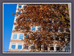 Architektur im Herbst