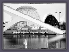 Valencia Aquarium