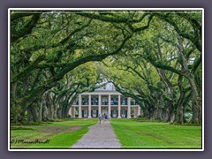 Louisiana - Oak Alley Plantation