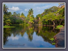 Am Black Sand Beach Park