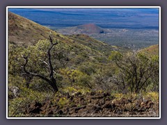 Auf dem Weg zum Mauna Kea