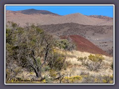 On the Road to the Mauna Kea