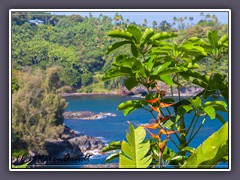 Onomea Bay Lookout