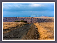 Road to South Point endet nach 19 km vom Highway 11 am südlichsten Punkt der USA 