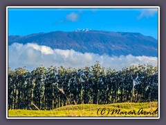 Sicht auf den Mauna Kea von der Hamakua Coast 