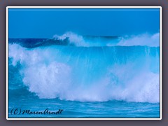 Tosende Wellen im Winter an der North Kohala Coast