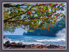 Unterwegs an der Hamakua Coast 