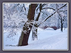 Bürgerpark - Winterzauber