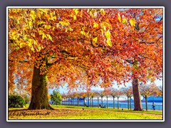 Vegesack - Erholungsort Stadtgarten an der Weser