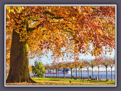 Vegesack - Stadtgarten