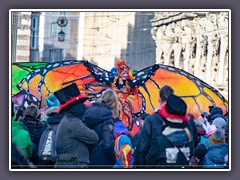 Ein Monarchfalter in Bremen