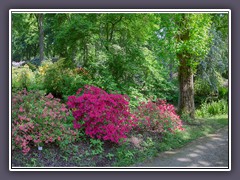 Rhododendronpark Bremen