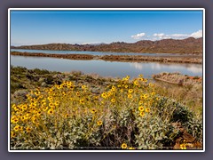 Colorado River - am Parker Damm