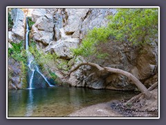 Death Valley - Darwin Fall