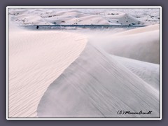 Imperial Dunes  - Algodones Dünen