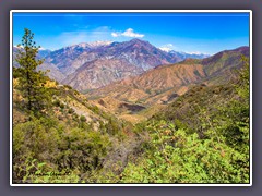 Kings Canyon - Junction View