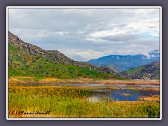 Lake Kawea - Frühling im März