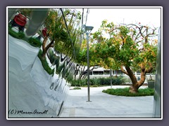 Los Angeles - Disney Concert Hall - Spiegelungen im Garten