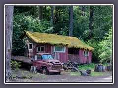 Redwood NP - Am US Highway 1