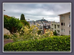 San Francisco - die berühmte Lombardstreet fahren