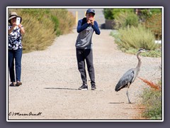 San Joaquin River Wildlife Refuge - Begegnung