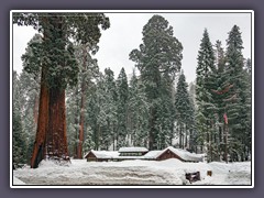 Sequoia NP - Das Museum im Park