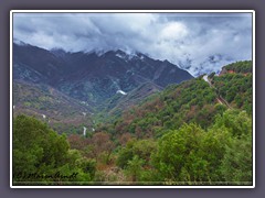 Sequoia NP - Straße hinauf zum Wald der Giganten