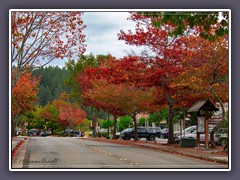 Bohemian Highway - Occidental