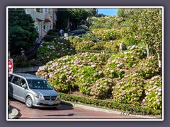 Coming Down - Lombard Street