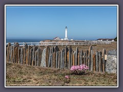 Point Arena Light