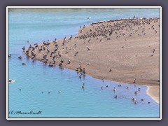 Russian River State Marine Conservation Area