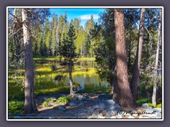 Tioga Pass - Siesta Lake