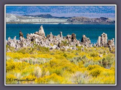 Tuffstein Formen am Mono Lake