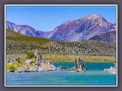 Mono Lake im Herbst  - Sagebrush blüht 