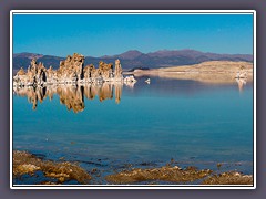 Zauberhafter Mono Lake