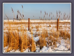 Winter - Kugelbake maritimes Wahrzeichen - hier endet die Nordsee und die Elbe beginnt