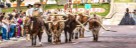 Texas Stadt und Land