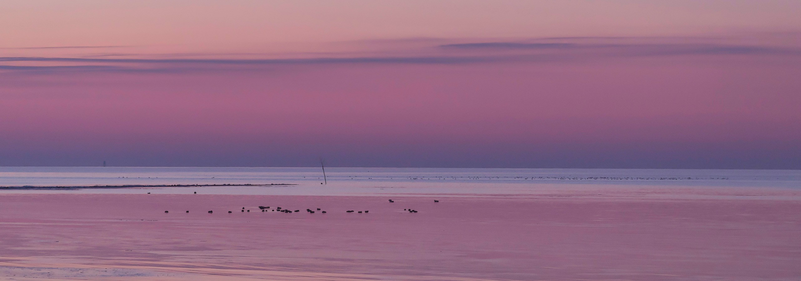 Wattenmeer