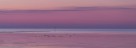 Wattenmeer