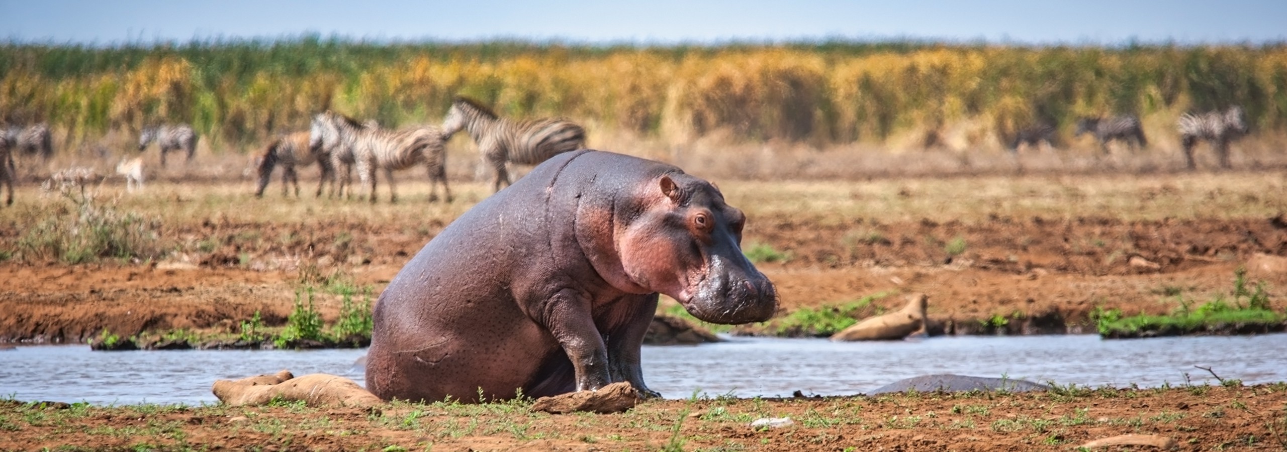 Lake Manyara