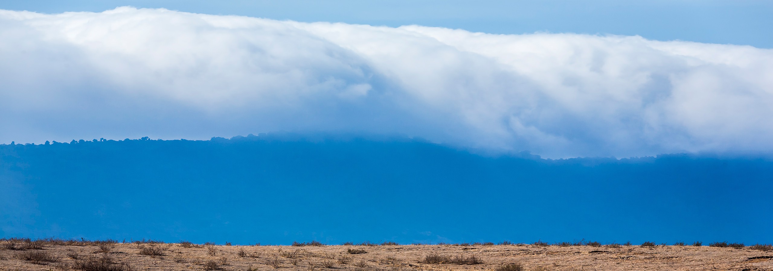 Ngorongoro Crater
