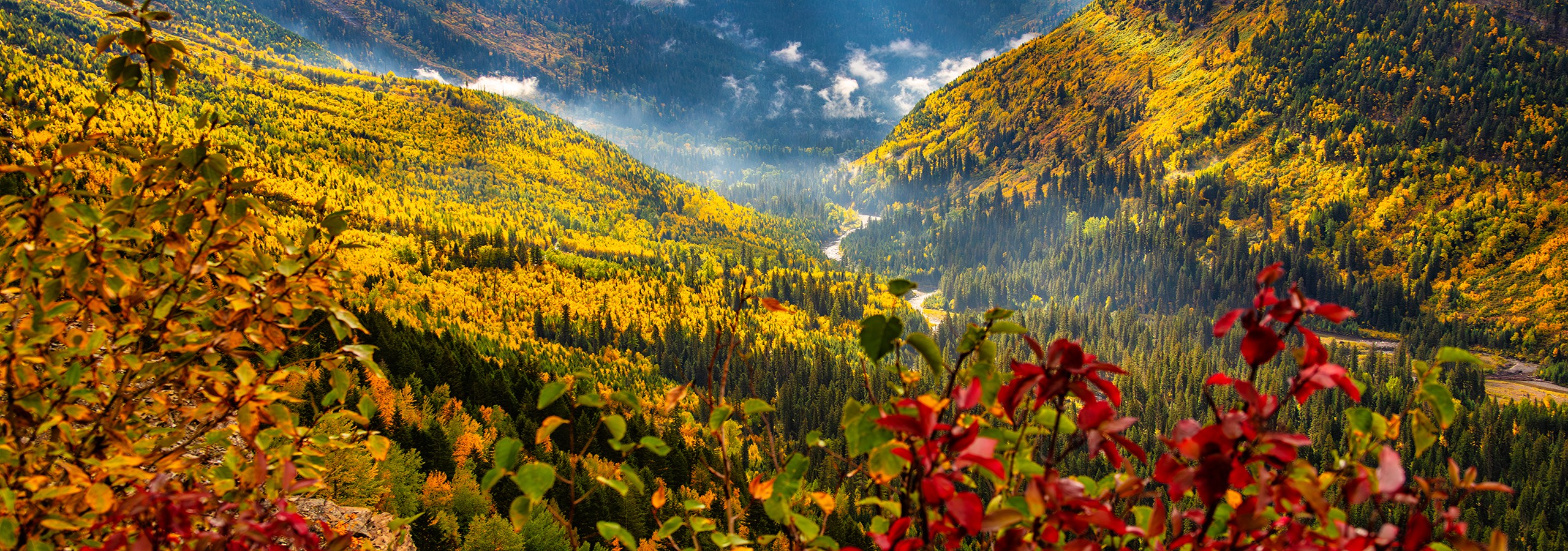 Montana - Herbst