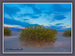 Abend in den Mesquite Sand Dunes