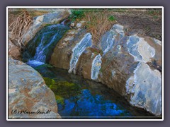 Frischwasser im Death Valley