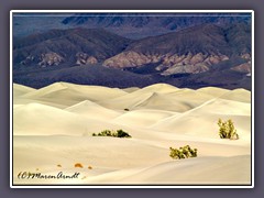 Mesquite Dunes