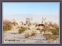 Mesquite Dunes im Sandsturm
