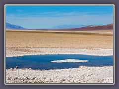 Salzige Quelle neben der Badwater Road