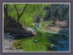 Wanderweg zum Darwin Wasserfall