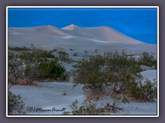 Zauberhafter Abend in den Sanddunes