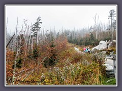 Auf dem Clingman Dome